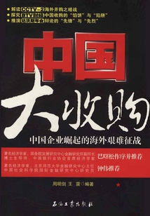 中国大收购