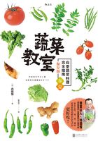 蔬菜教室（春夏篇）在线阅读