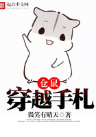 仓鼠穿越手札