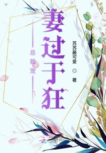 總裁寵妻過于狂