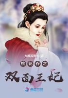 桃花谷之双面王妃