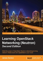 Learning OpenStack Networking（Neutron）（Second Edition）在线阅读