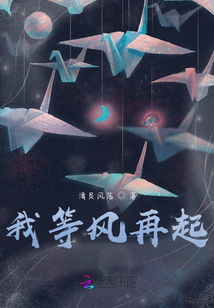 我等風(fēng)再起