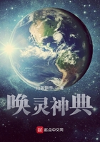 唤灵神典在线阅读