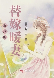 賀少的替嫁暖妻