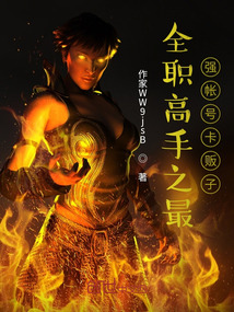 全職高手之最強帳號卡販子