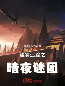 迷霧追蹤之暗夜謎團(tuán)