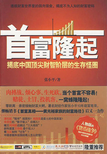 首富隆起:揭底中國頂尖財智階層的生活怪圈