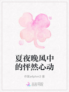 夏夜晚风中的怦然心动在线阅读
