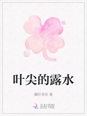 叶尖的露水在线阅读