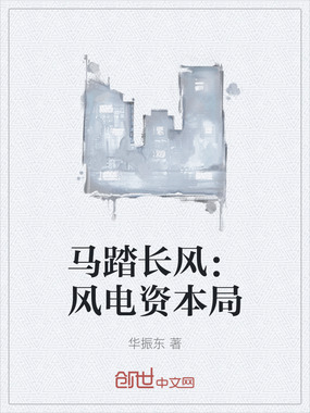 马踏长风:风电资本局在线阅读