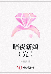 暗夜新娘(完)