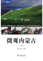 微观内蒙古(汉英版)