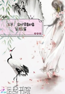 王爺，棄妃要翻墻