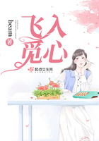 飛入覓心在線閱讀