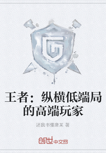 王者：縱橫低端局的高端玩家
