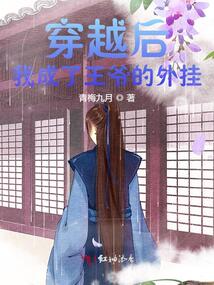 穿越后我成了王爺?shù)耐鈷? class=
