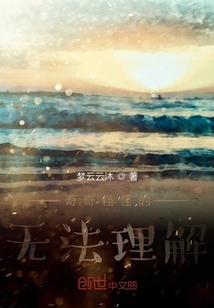 奇奇怪怪的無法理解