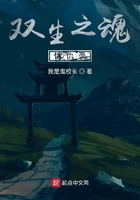 双生之魂情仇录