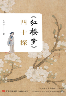 《紅樓夢》四十探