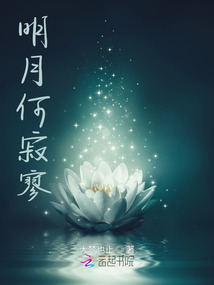明月何寂寥