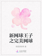 新网球王子之完美网球