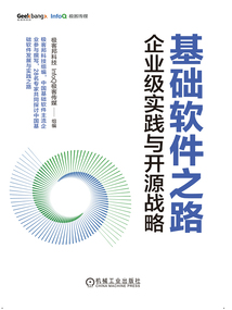 基础软件之路:企业级实践与开源战略