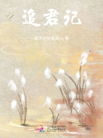 追君記