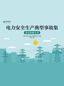 電力安全生產(chǎn)典型事故集:變電檢修專業(yè)