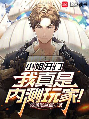 小姐开门，我真是内测玩家！在线阅读