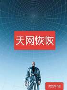天网恢恢在线阅读