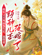 将军丈夫死而复生后,我带着野种儿子改嫁了在线阅读