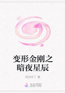 變形金剛之暗夜星辰