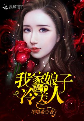 我家娘子是个冷美人在线阅读
