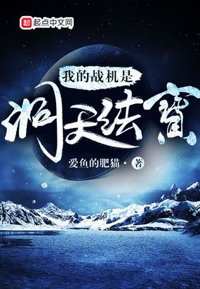 我的战机是洞天法宝在线阅读