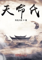 天命氏在线阅读