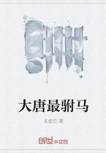 大唐最驸马