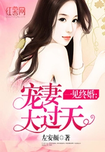 宠妻大过天在线阅读
