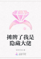 摊牌了我是隐藏大佬