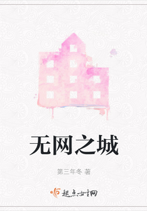無網之城