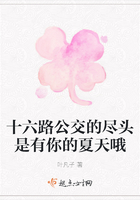 十六路公交的盡頭是有你的夏天哦在線閱讀