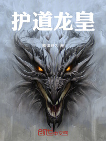 護道龍皇