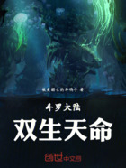 斗罗大陆:双生天命在线阅读