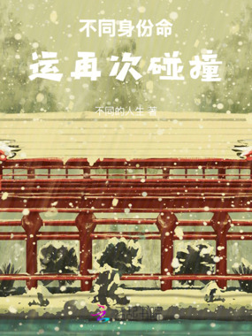 不同身份命运再次碰撞在线阅读