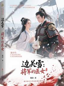 边关雪：将军的医女在线阅读