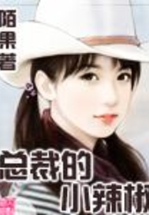 总裁的小辣椒