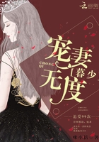 追愛99次：暮少寵妻無度在線閱讀