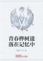 青春桦树遗落在记忆中在线阅读