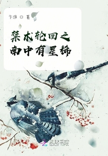 禁術輪回之南中有星稀