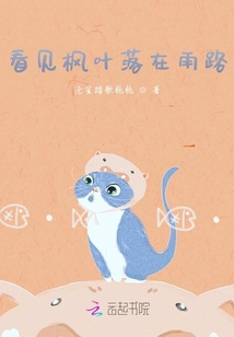 看見楓葉落在雨路